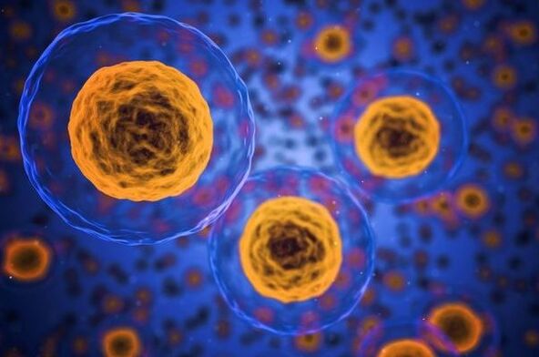 Wie der Gewichtsverlustprozess abläuft